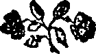 050/050480010903020_0.png