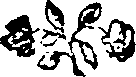 050/050480011000160_0.png