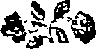 050/050480011001080_0.png