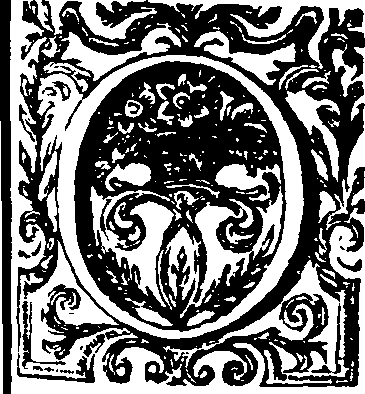 050/050550010602590_0.png