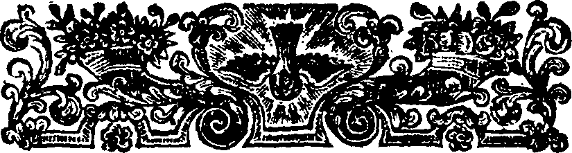 050/050640040000250_2.png
