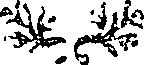 050/050730030004700_0.png