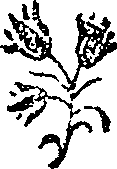 050/050730040000190_0.png