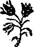 050/050730040000370_0.png