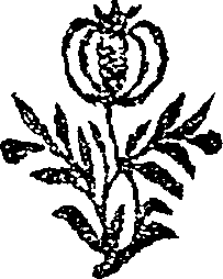 050/050730040000470_0.png