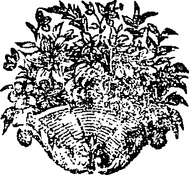 050/050730040000700_0.png