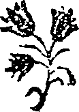050/050730040000800_0.png