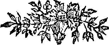 050/050730040000830_0.png