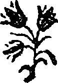 050/050730040000870_0.png