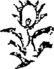 050/050730040001140_0.png