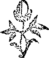 050/050730040001160_0.png