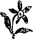 050/050730040001250_0.png