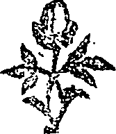050/050730040001440_0.png