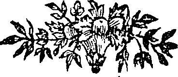 050/050730040001570_0.png