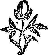 050/050730040002210_0.png