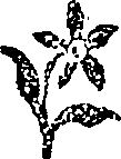050/050730040002250_0.png