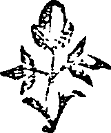 050/050730040002610_0.png