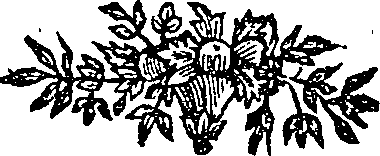 050/050730040002890_0.png
