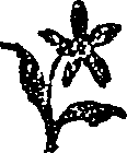 050/050730040003300_0.png