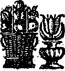 050/050910020201250_0.png