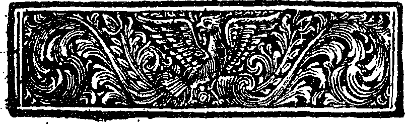 050/050910020201360_0.png