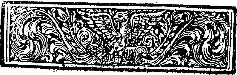 050/050910020201450_0.png