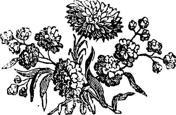 050/050950110001350_0.png