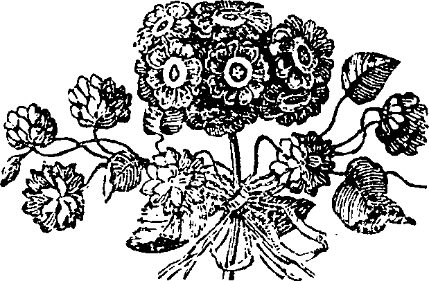 050/050950110001900_0.png