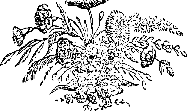 050/050950110002040_0.png