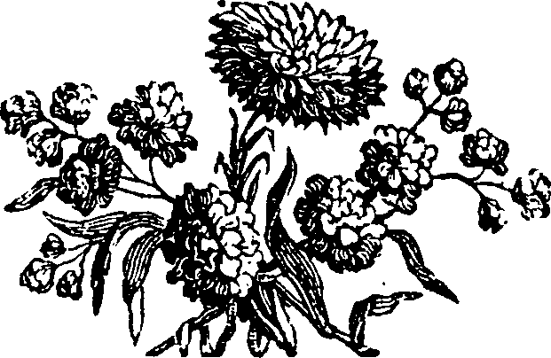 050/050950110002560_0.png
