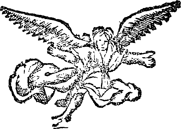 050/050960010000070_0.png