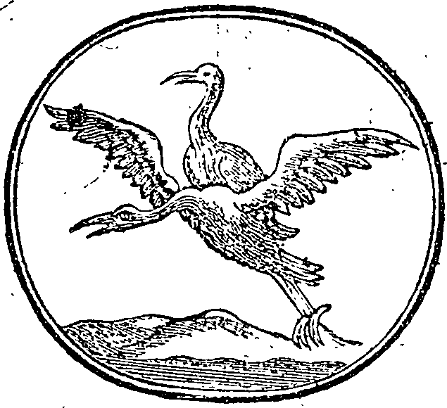 050/050960040000670_0.png