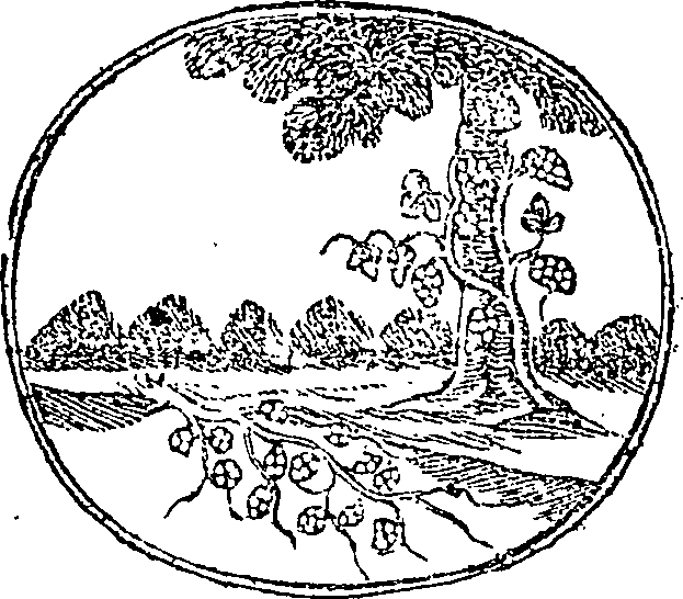 050/050960040000690_0.png