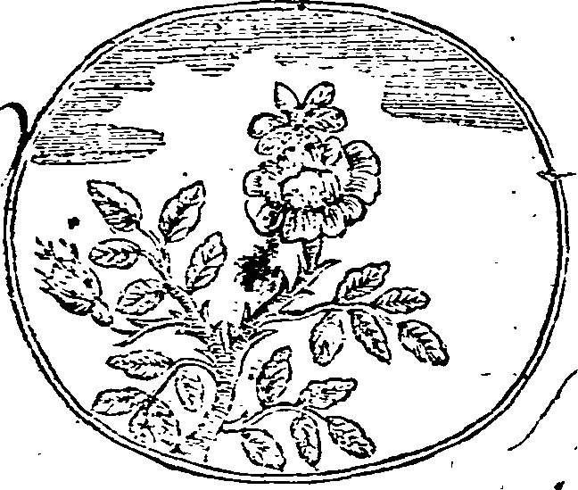 050/050960040000730_0.png