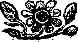 051/051090080001790_0.png