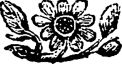 051/051090080002070_0.png