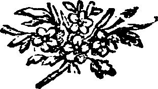 051/051210016603000_0.png