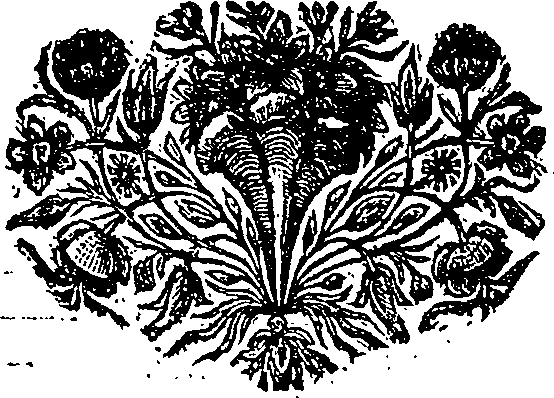 051/051340070000030_0.png