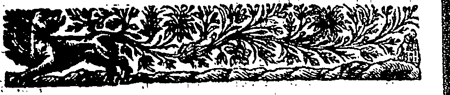 051/051340070000410_1.png
