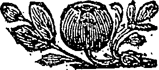 051/051340090000020_0.png