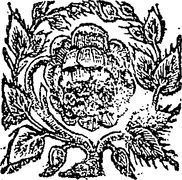051/051340110000030_0.png