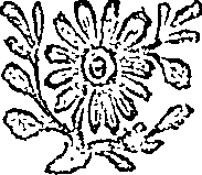 051/051350010001100_0.png