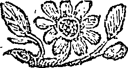 051/051350030000490_0.png