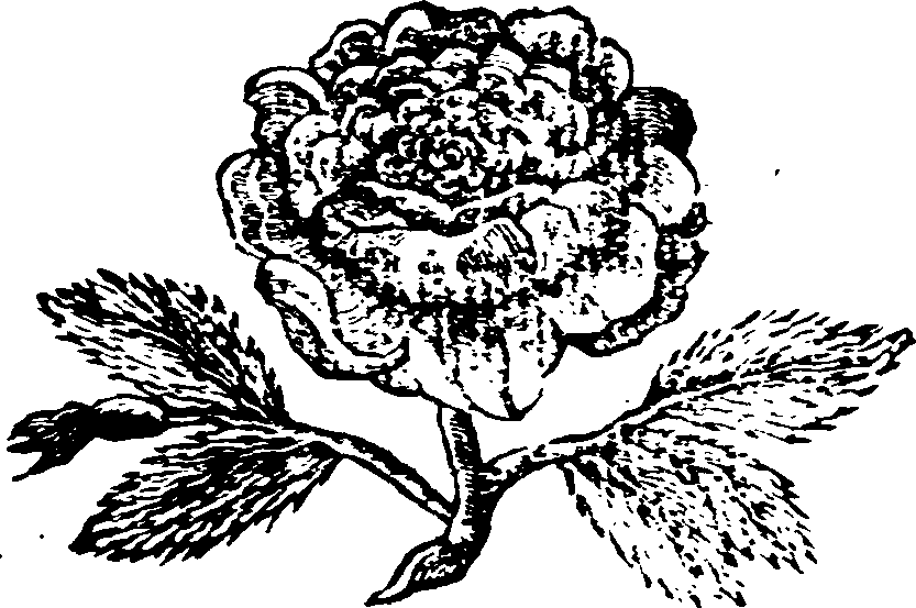 051/051560050000310_0.png