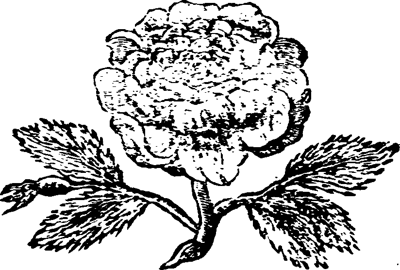 051/051560050001290_0.png