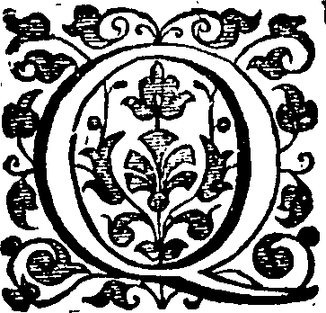 051/051700020100250_0.png