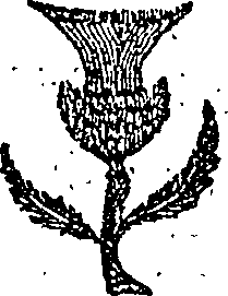 051/051850160201290_0.png