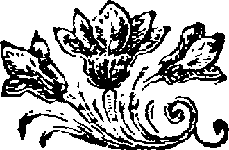 051/051980070202980_0.png
