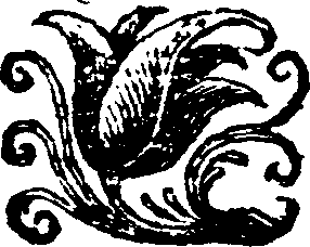 051/051980070203260_0.png