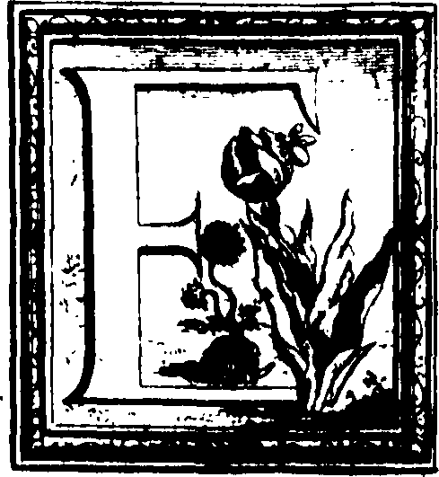 051/051990060000040_0.png